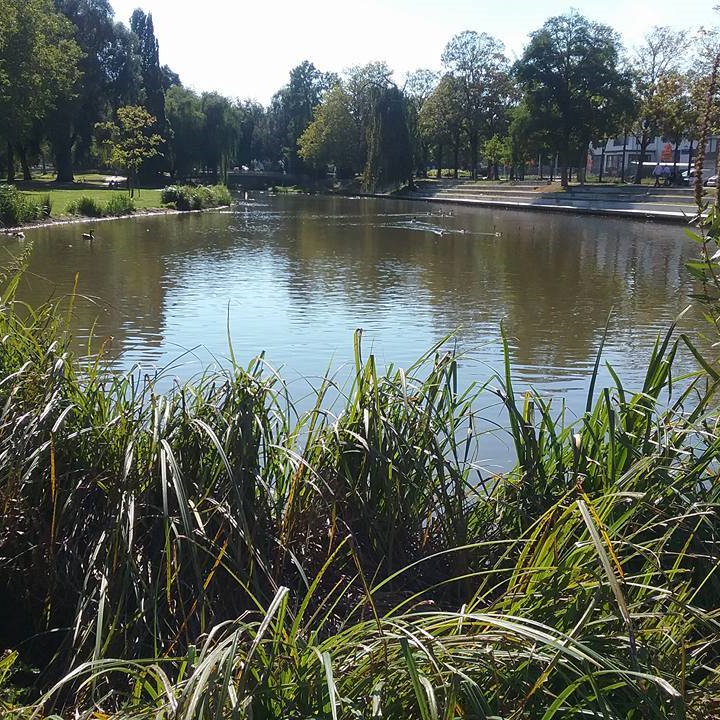 Nieuwsfoto